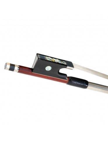Dorfler 15A arco viola