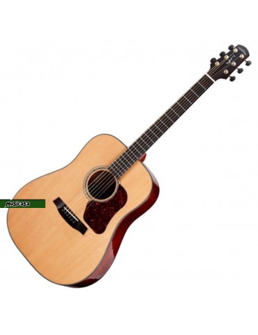 Walden Madera CD4040EQ Dreadnought amplificada USADA