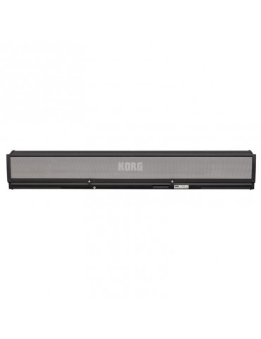 KORG PAAS MKII Amplificador-mezclador multi-instrumento