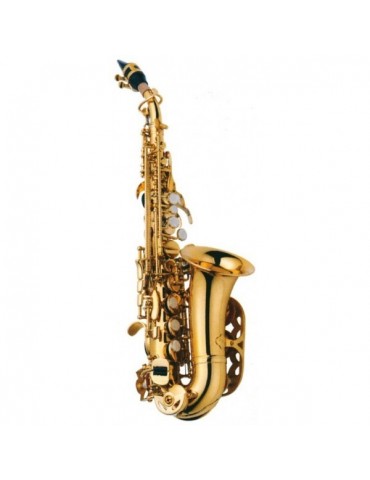 J. MICHAEL saxo soprano curvo