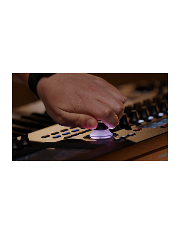 YAMAHA MONTAGE M8