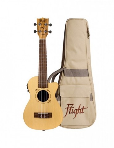 Ukelele Concert Flight...