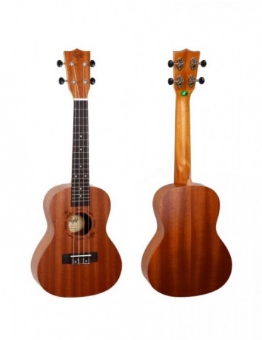 Ukelele Concert Flight...