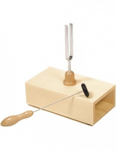 Caja Resonancia Con Maza...