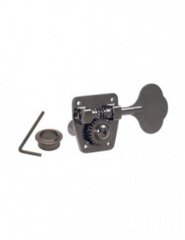 Clavijero Bajo Gotoh...