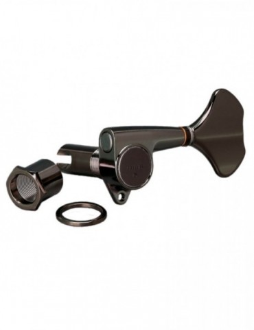 Clavijero Bajo Gotoh...