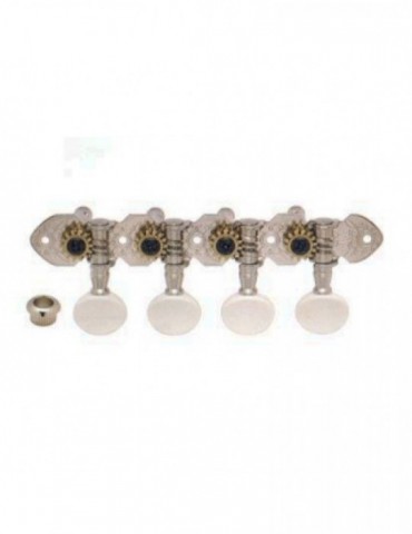 Clavijero Gotoh Mandolina...