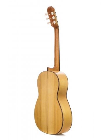 PRUDENCIO SAEZ 1FP-EQ...