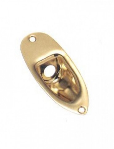 Placa Entrada Jack Gotoh...