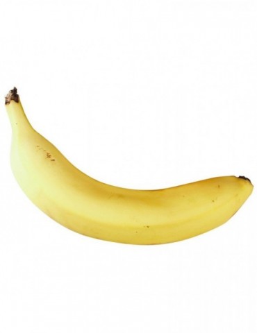 Fruit Shaker Rhythm Tech...