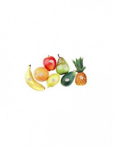 Fruit Shaker Rhythm Tech...