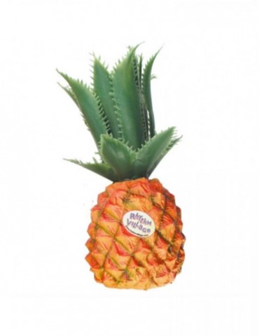 Fruit Shaker Rhythm Tech...