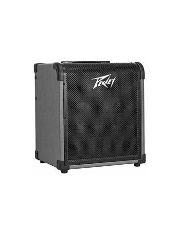 Peavey Max 300 bass combo