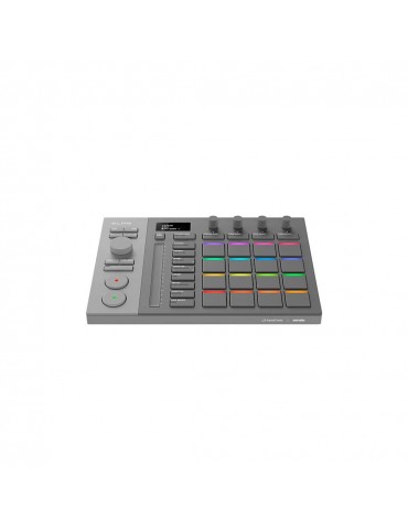 PIONEER SLAB CONTROLLER