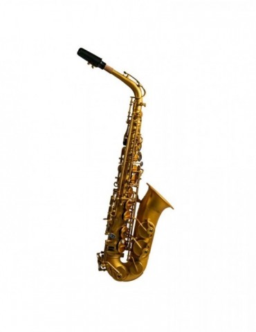 Saxo Alto Taylor Collins...