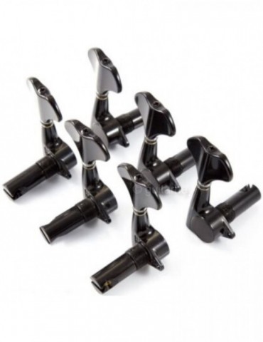 Clavijero Bajo Gotoh...
