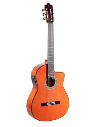 ADMIRA ALEGRIA ECF Guitarra...