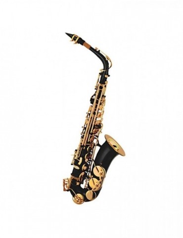 Saxo Alto Taylor Collins...