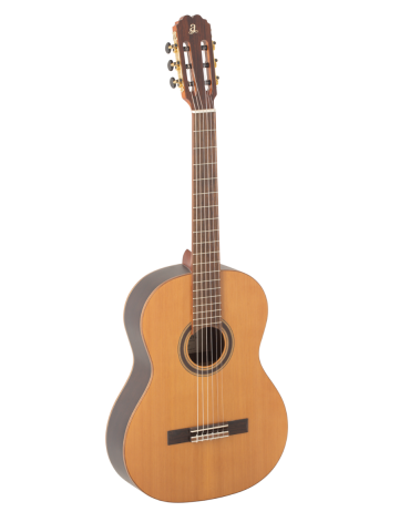 ADMIRA IRENE GUITARRA...