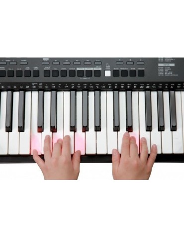KURZWEIL KP90L - TECLADO...