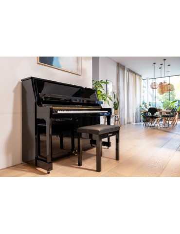YAMAHA B-30 SC3 PE Negro...