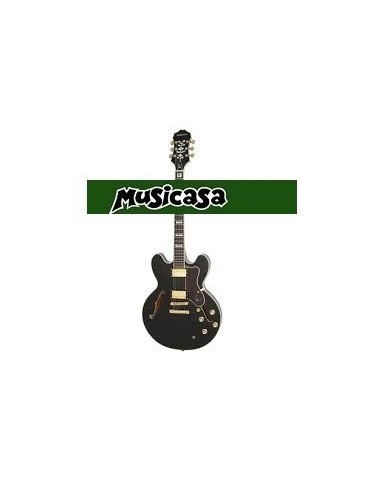 EPIPHONE SHERATON-II PRO (ProBuckers Coil-Tapping)ETSPEBGH1