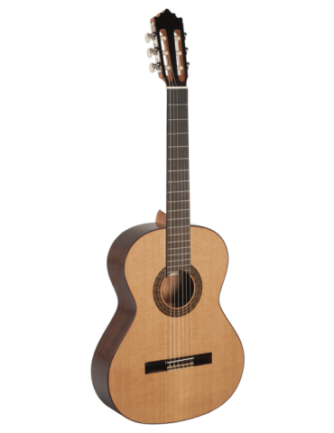 PACO CASTILLO 202 GUITARRA...