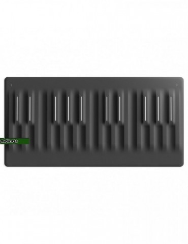 ROLI SEABOARD BLOCK MASTER KEYBOARD Teclado controlador