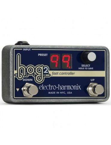 HOG2  FOOT CONTROLLER