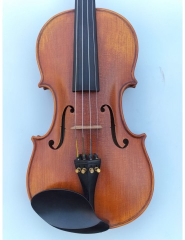 Friedmann 4/4 violín montado por Luthier