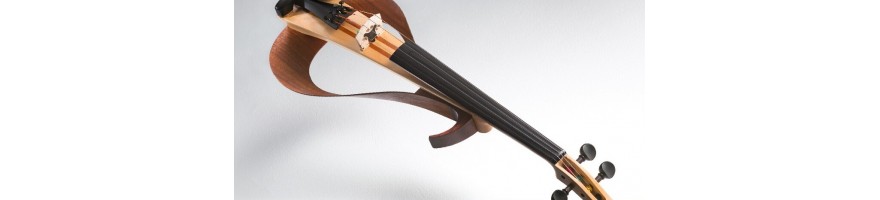 ➡️  instrumentos de arco electrico