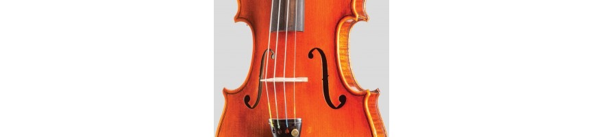 INSTRUMENTOS