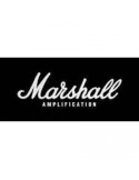 MARSHALL Amplification