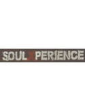 SOULXPERIENCE