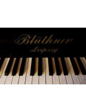 BLUTHNER PIANOS