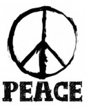 PEACE GUITARS