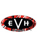 EVH Guitars & Amps