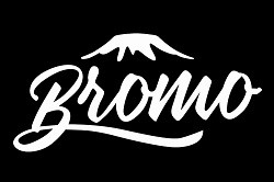 BROMO GUITARS