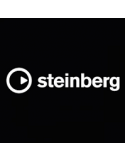 STEINBERG